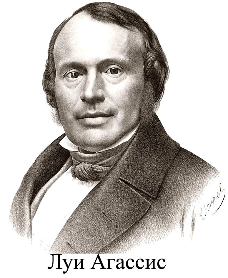 Луи Агассис